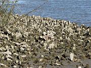 St. Augustine - Jan 2012 064